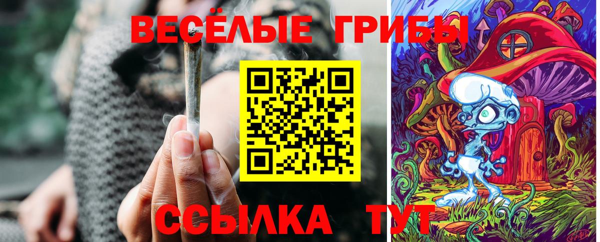 Тосно  Галлюциногенные грибы Psilocybe  где можно купить   Вход с VPN 